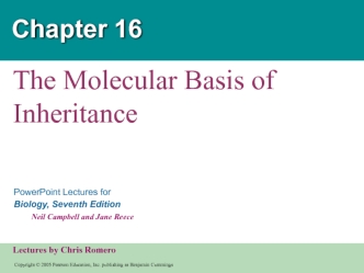 The Molecular Basis of Inheritance