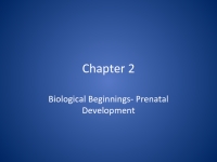 Biological Beginnings - Prenatal Development презентация, доклад