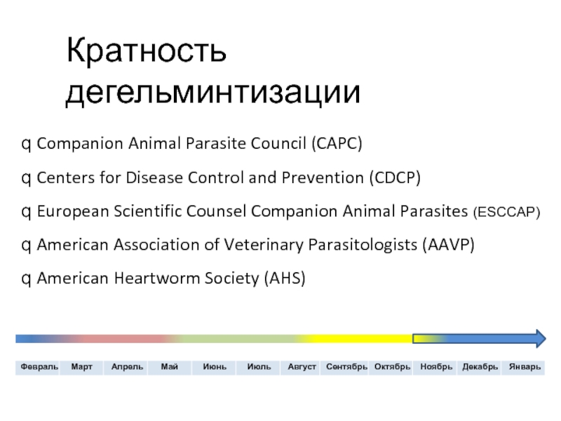 Кратность дегельминтизацииq Companion Animal Parasite Council (CAPC)q Centers for Disease Control and