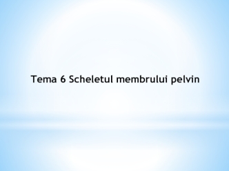 Tema 6. Scheletul membrului pelvin