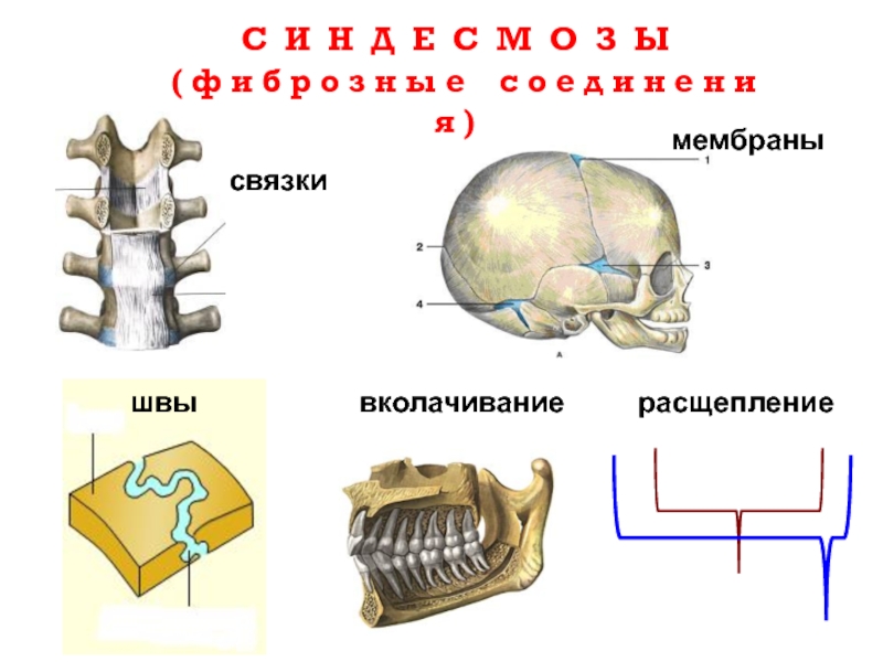 Связки примеры