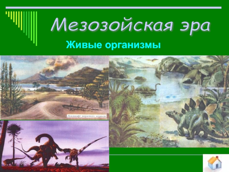 Организмы эры. Живые организмы мезозойской эры. Мезозой Эра организмы. Развитие живых организмов в мезозойскую эру. Этапы развития жизни на земле презентация.