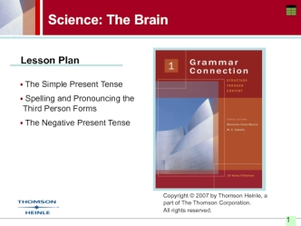 The simple present tense. Spelling and pronouncing the third person forms. The negative present tense