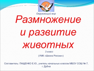 Размножение и развитие животных