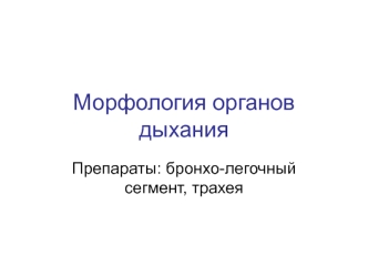 Морфология органов дыхания