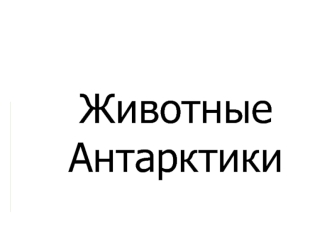 Животные Антарктики. Друзья и враги пингвинов