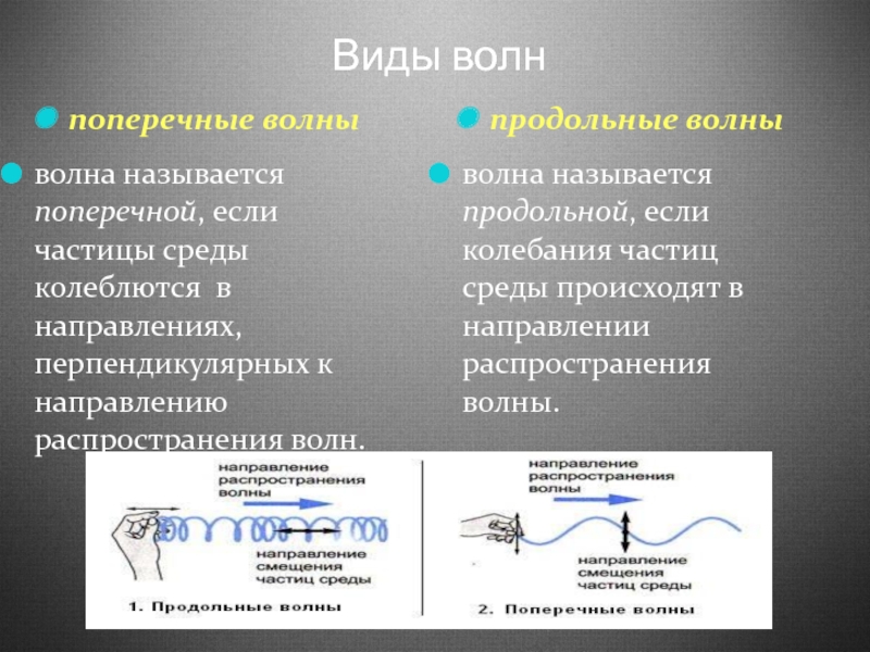 В каких средах могут возникать продольные волны