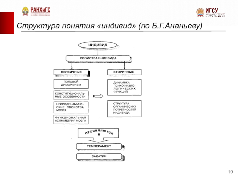 Структура понимания. Структура понятия «индивид» (по б. г. Ананьеву). Структура понятия индивид. Структура понятия индивид по Ананьеву. Первичные свойства индивида по Ананьеву.