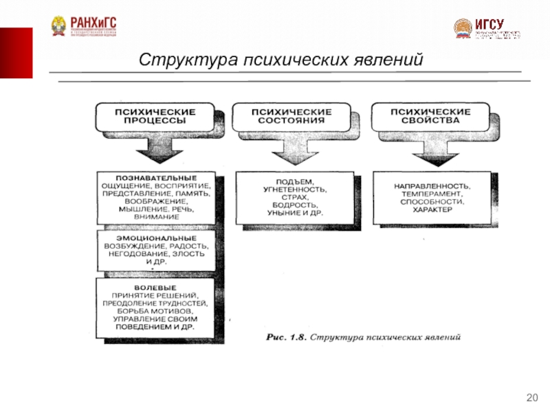 Классификация психических явлений схема