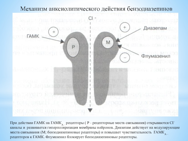 Механизм действия транквилизаторов схема