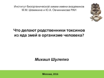 Что делают родственники токсинов из яда змей в организме человека