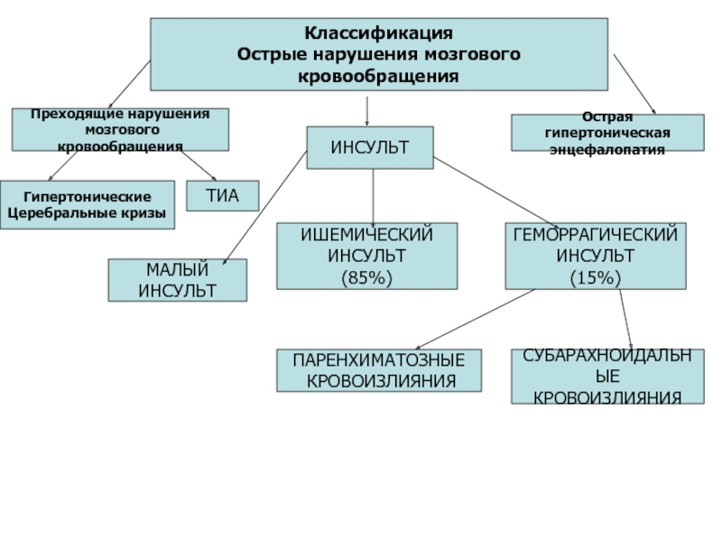 Схема мозгового кровообращения