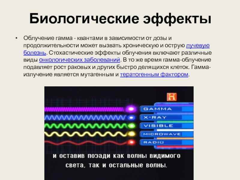 Острое облучение это облучение дозой. Излучение гамма Кванта. Биологические эффекты гамма излучения. Гамма облучение. Биологический эффект облучения зависит от.