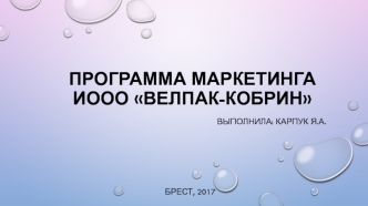 Программа маркетинга ИООО Велпак-Кобрин