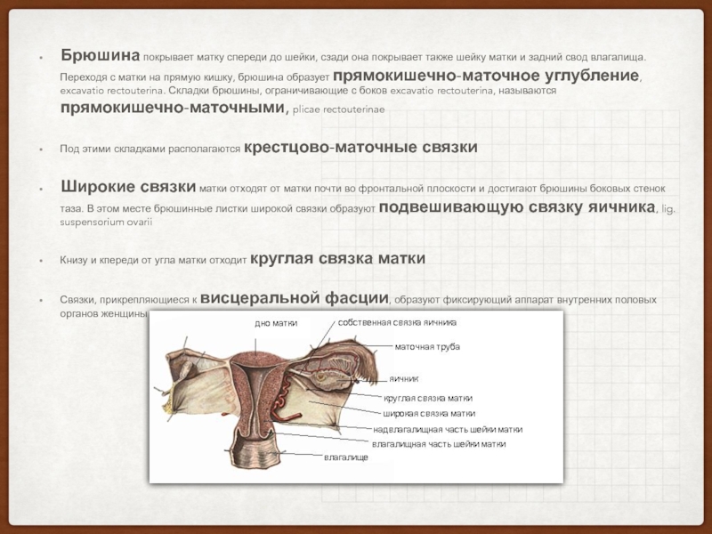 Перекрут придатков матки презентация