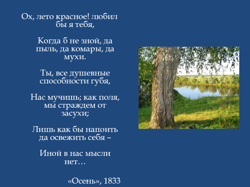 За селом на полной воле веет ветер самолет какое время года рисует поэт