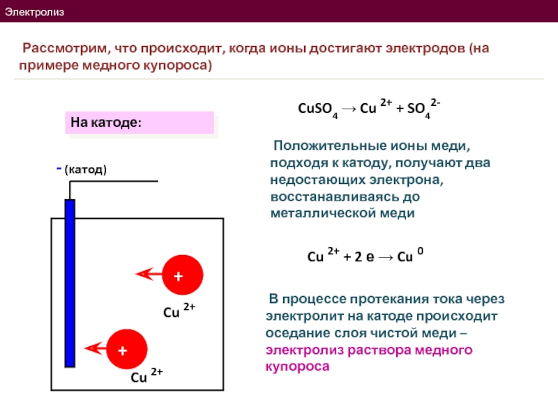 Катод положительный или отрицательный