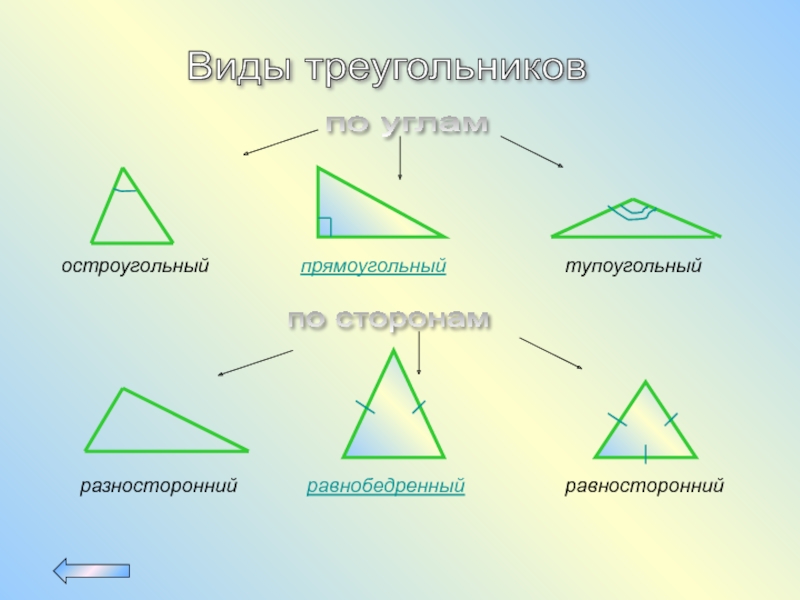 Каждый равносторонний треугольник является остроугольным. Остроугольный прямоугольный и тупоугольный треугольники. Равнобедренный и остроугольный треугольник 5 класс. Равнобедренный остроугольный и тупоугольный треугольник. Равнобедренный тупоугольный треугольник.