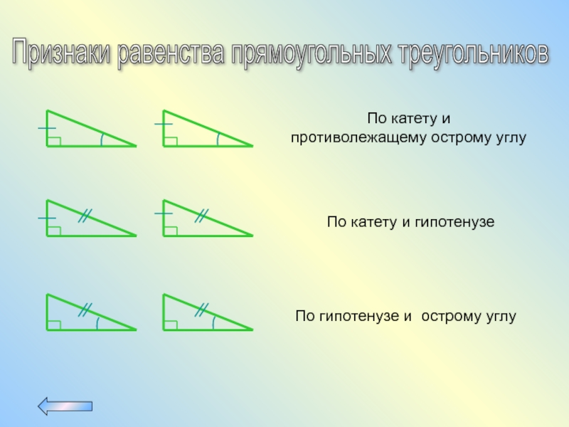 Сумма углов треугольника признаки равенства прямоугольных треугольников. Признак равенства прямоугольных треугольников по 2 катетам. Признак равенства прямоугольных треугольников по катету. 4 Признака равенства прямоугольных треугольников. Равенство треугольников по катетам.