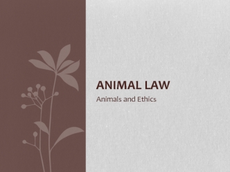 Animal law