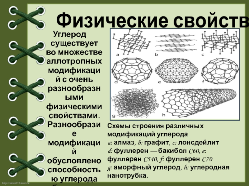 Физические свойства углерода. Физические свойства углн. Схемы строения различных модификаций углерода.