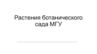 Растения ботанического сада МГУ