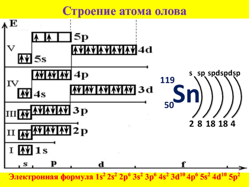 Процесс перехода шести электронов отражает схема s 2 s 6