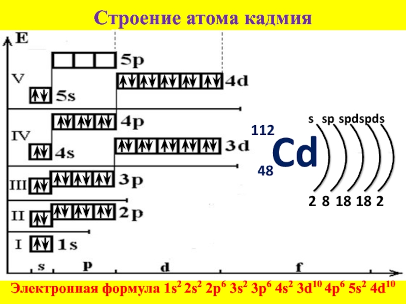 Структура 50