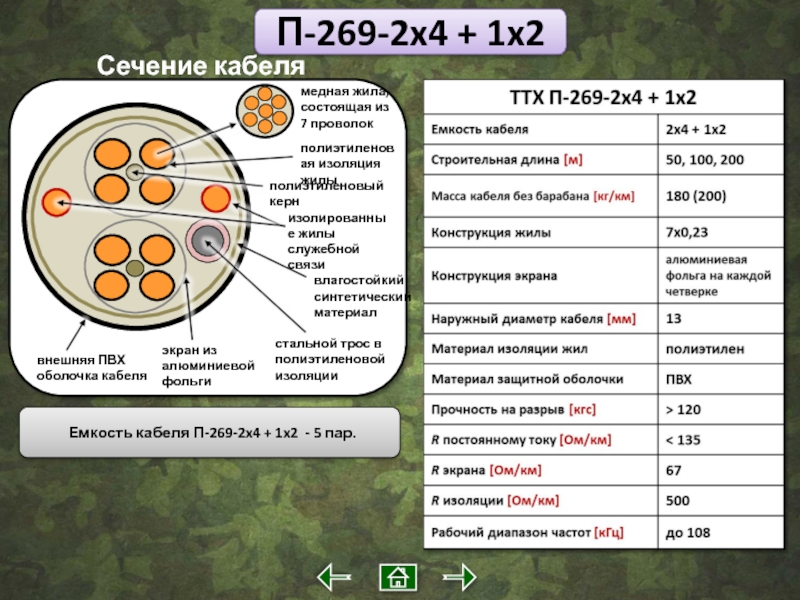 4 х п 2 4 п. Кабель п-269м-2х4+1х2. Кабель п-269м-2х4+1-100. Кабель п-269м 2х4+1х2 (1.6м). П-269 кабель.