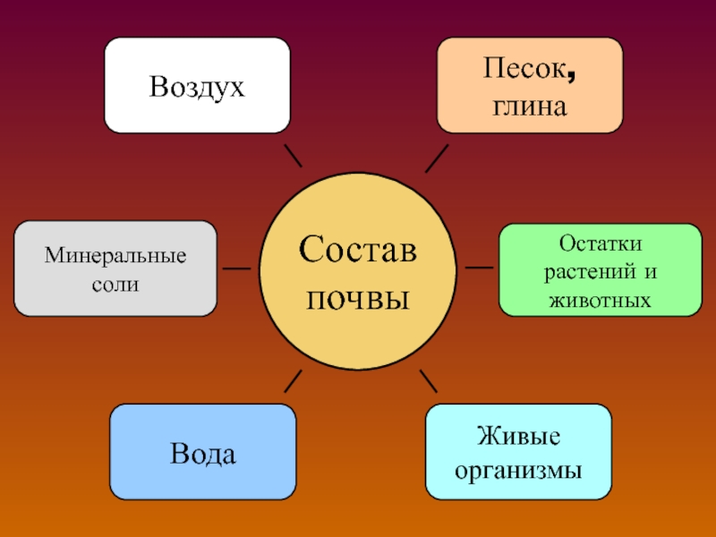 5 почвы. Состав почвы. Схема состав почвы 4 класс. Состав почвы 5 класс. Свойства почвы 5 класс.