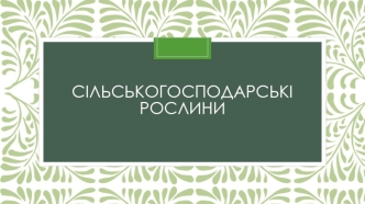 Сільськогосподарські рослини