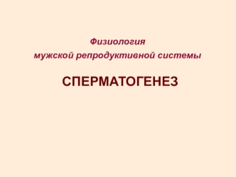 Физиология мужской репродуктивной системы. Сперматогенез