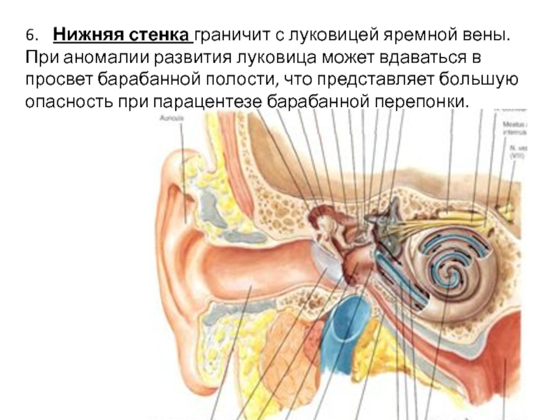 Схема барабанной полости