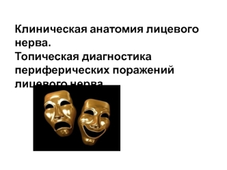 Клиническая анатомия лицевого нерва. Топическая диагностика периферических поражений лицевого нерва