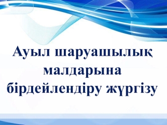 Ауыл шаруашылық малдарына бірдейлендіру жүргізу