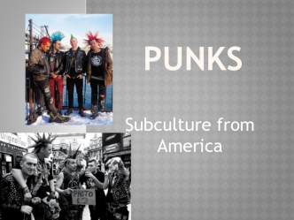 Punks. Subculture from America