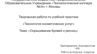 Творческая работа по учебной практике Технология косметических услуг. Тема: Окрашивание бровей и ресниц