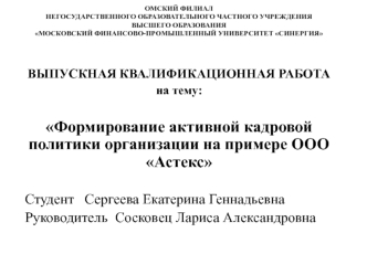 Формирование активной кадровой политики организации на примере ООО Астекс