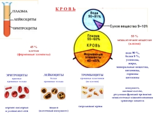 Кровь