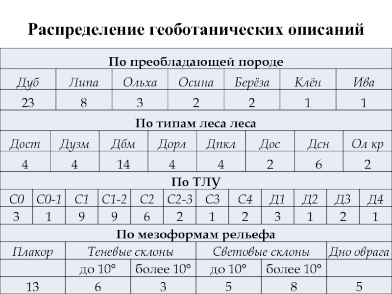 Составьте геоботаническое описание растений определенной местности по предложенному плану