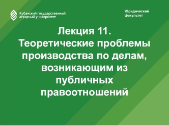 Теоретические проблемы производства по делам, возникающим из публичных правоотношений