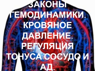 Законы гемодинамики. Кровяное давление. Регуляция тонуса сосудо и АД