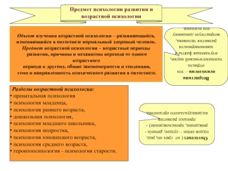 Психология развития и возрастная психология