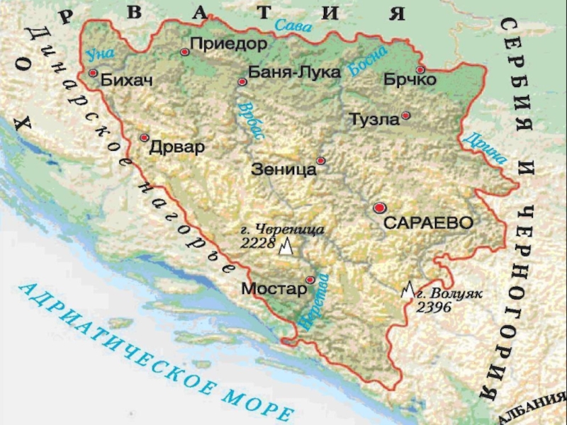 Доклад по теме Босния и Герцеговина