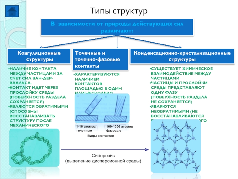 Наличие структуры. Коагуляционная сила. Коагуляционные контакты поверхностей частиц. Молекулярно-кинетические свойства суспензий. Фазовые коагуляционные атомные контакты.