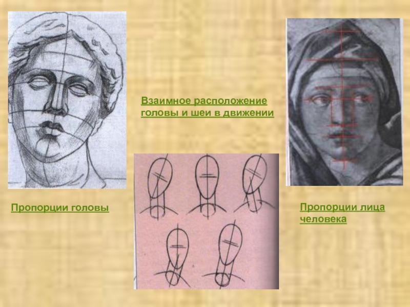 Портрет человека 3 класс изо. Конструкция и пропорции головы человека. Конструкция головы человека изо. Пропорции лица. Конструкция головы человека и ее пропорции рисунок.