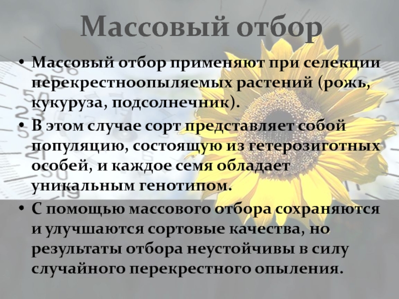 Массовый отбор презентация