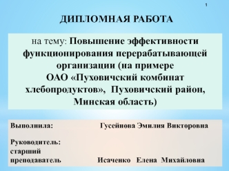 Повышение эффективности функционирования перерабатывающей организации (на примере ОАО Пуховичский комбинат хлебопродуктов