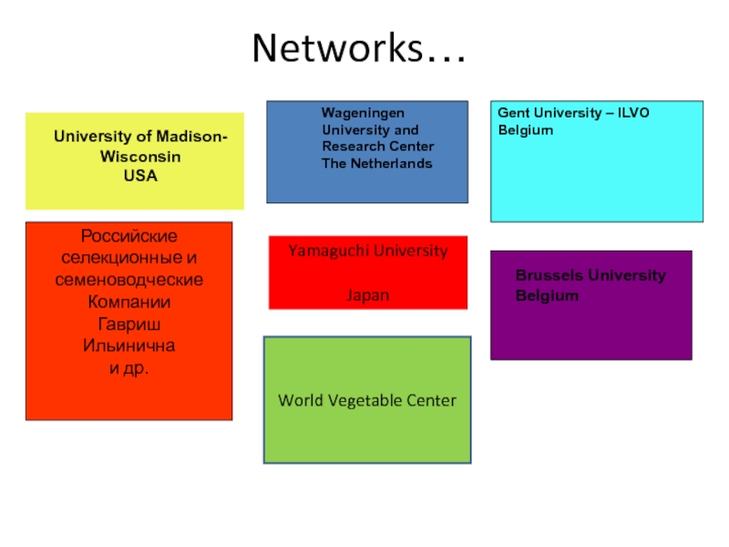 Networks…         University of Madison-