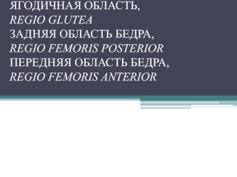 Ягодичная область, задняя область бедра, передняя область бедра